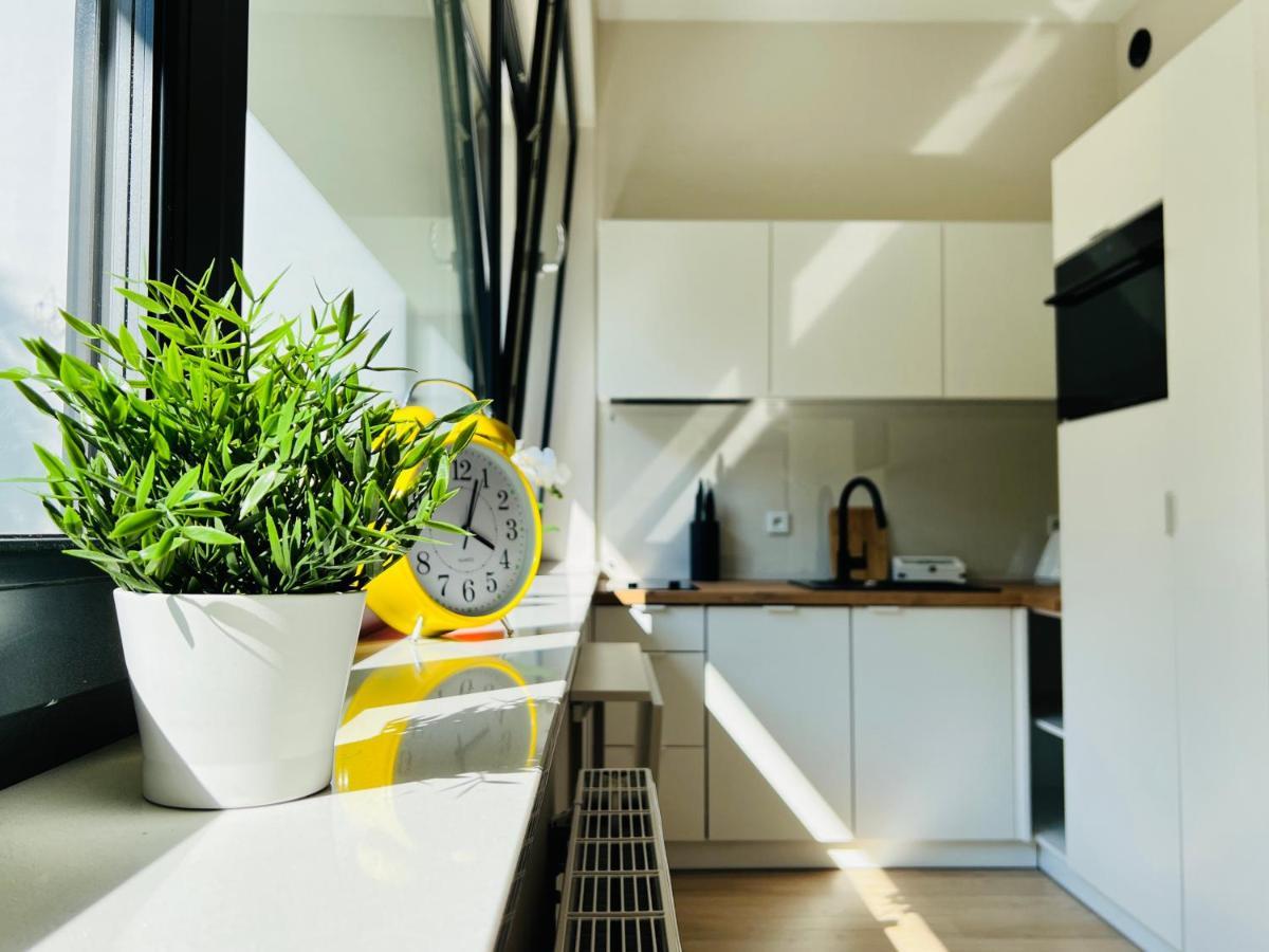 Cozystudio With Sauna Krasków Eksteriør bilde